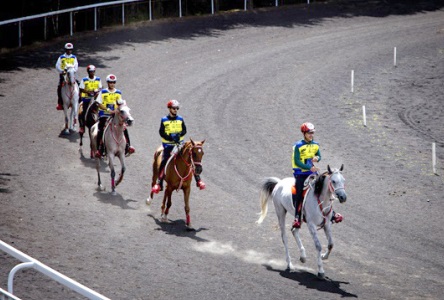 Royal Team set for France event